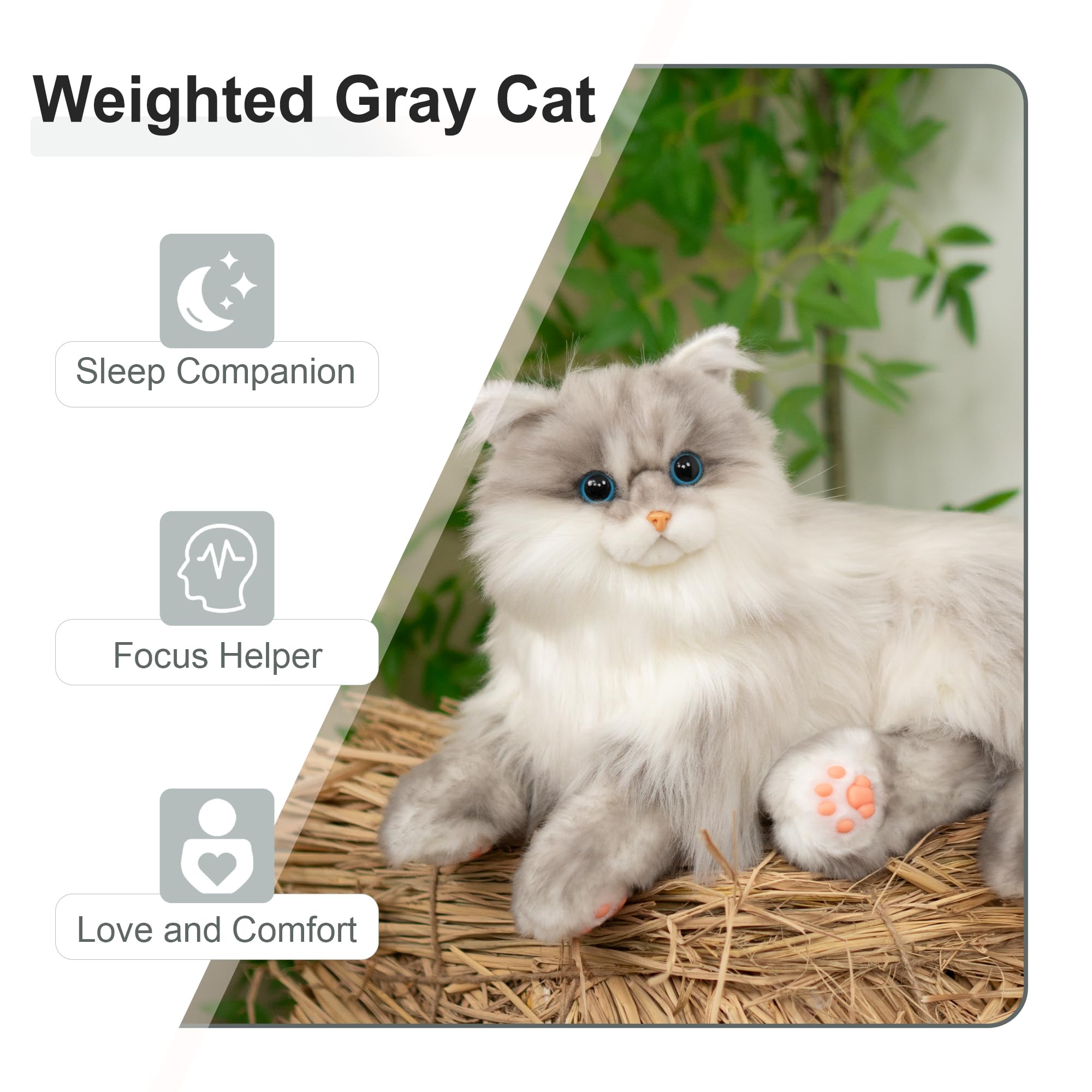 Amazon.co.jp: Chongker 重み付きぬいぐるみ ハンドメイド リアルな猫